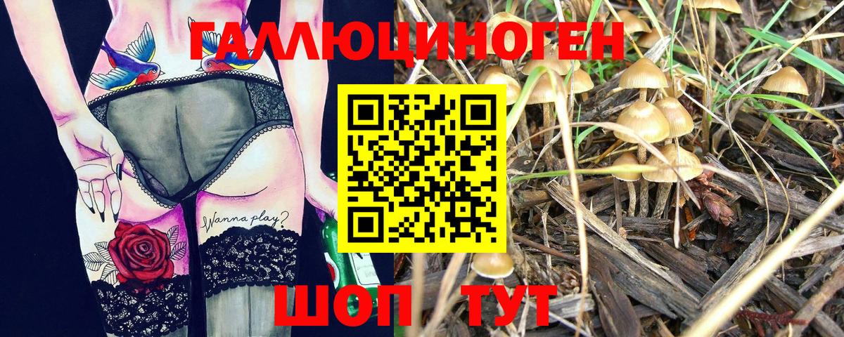 Псилоцибиновые грибы Magic Shrooms Красногорск
